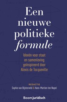 Een nieuwe politieke formule - - ebook