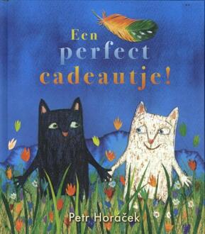 Een perfect cadeautje ! -  Peter Horacek (ISBN: 9789061744740)
