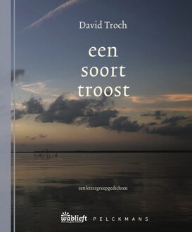 een soort troost - David Troch - ebook