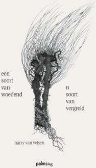 Een Soort Van Woedend - N Soort Van Vergreld -  Harry van Velsen (ISBN: 9789493465091)