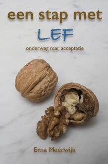Een stap met lef - Boek Erna Meerwijk (9463421114)