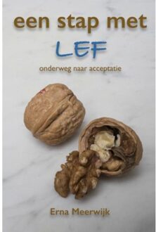 Een stap met lef - Boek Erna Meerwijk (9463421114)