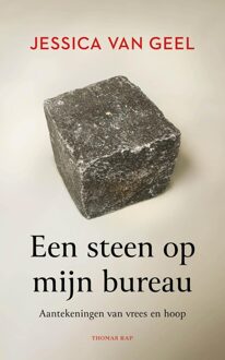 Een steen op mijn bureau - Jessica van Geel - ebook