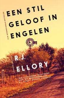 Een stil geloof in engelen - eBook R.J. Ellory (9026127693)