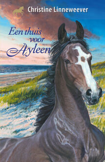 Een thuis voor Ayleen -  Christine Linneweever (ISBN: 9789020634853)