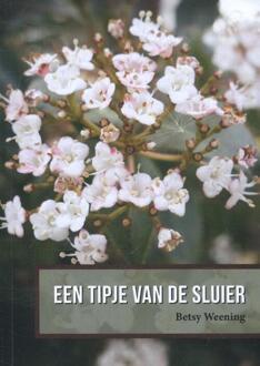 Een tipje van de sluier - Boek Betsy Weening (9052945993)