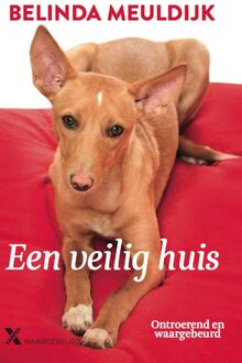 Een veilig huis - eBook Belinda Meuldijk (9401604851)