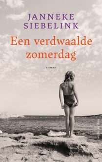 Een verdwaalde zomerdag - Janneke Siebelink - ebook