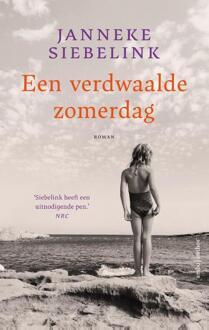 Een verdwaalde zomerdag -  Janneke Siebelink (ISBN: 9789026366284)