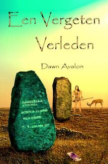 Een vergeten verleden - Boek Dawn Avalon (9402139842)