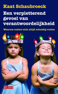 Een verpletterend gevoel van verantwoordelijkheid - eBook Kaat Schaubroeck (9044534718)