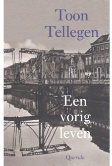 Een vorig leven - Boek Toon Tellegen (9021458772)