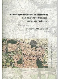Een vroegmiddeleeuwse nederzetting aan de grens te Hezingen, gemeente Tubbergen - Boek E.C. Pronk (9089321160)