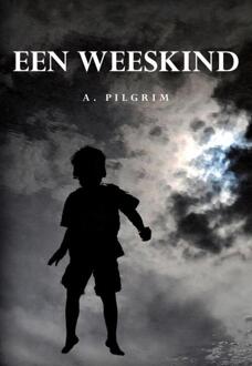 Een weeskind - Boek A. Pilgrim (908954450X)