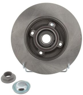 Eenheidsremschijf met lager DDF1560-1