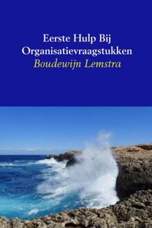 Eerste hulp bij organisatievraagstukken - Boek Boudewijn Lemstra (9402128042)