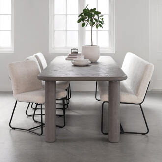 Eettafel 'Clio' Betonlook, 260 x 100cm, kleur Grijs - 260 x 100 cm