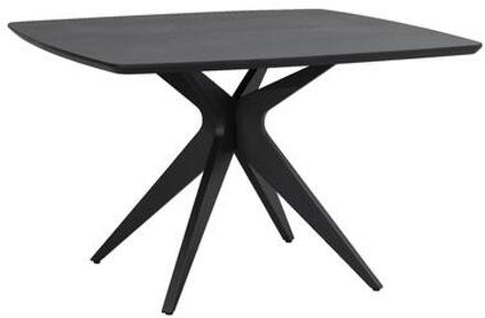 Eettafel Suzanne vierkant - zwart - 120x120 cm - Leen Bakker - 75 x 120 x 120