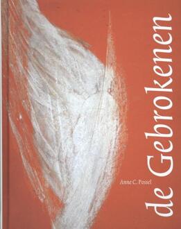 Ef & Ef Media De Gebrokenen - Boek Anne C. Possel (9081319671)