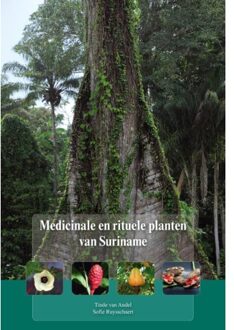 Ef & Ef Media Medicinale En Rituele Planten Van Suriname - Tineke van Andel