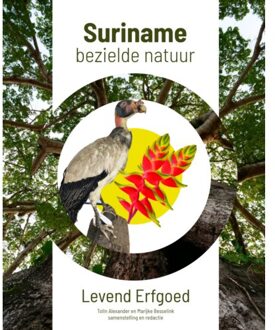 Ef & Ef Media Surname, Bezielde Natuur - Tolin Alexander