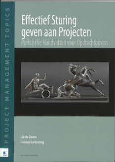Effectief sturing geven aan projecten - Boek Lia de Zoete (9087534930)