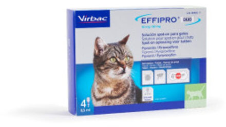 Effipro Duo spot, 4 Pipetten voor katten  | 4 Drops