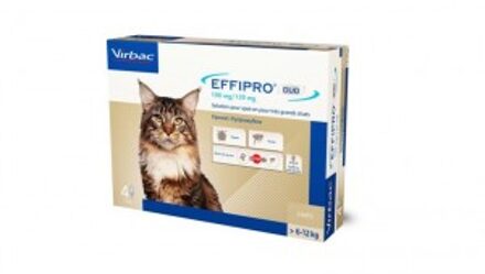 Effipro DUO Spot-on Kat > 6 kg - 4 Pipetten