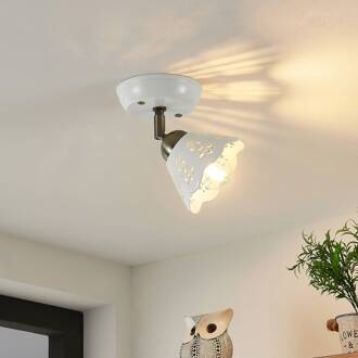 Efgenia spot, 1-lamp wit, brons