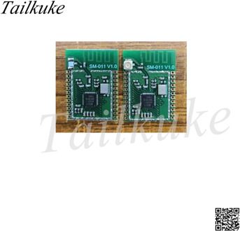 EFR32MG21 Silicon Labs Module Zigbee 3.0 Serial Port Coordinator Gateway Module