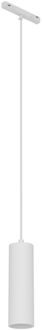 Eglo Easy Track Hanglamp Tube Wit Gu10