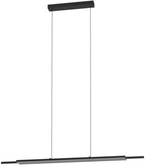 Eglo Hanglamp Cannigiona Zwart 20,3w