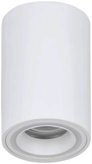 Eglo LED plafondlamp Carosso-Z, wit, CCT, RGB