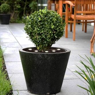 Eglo Vloerlamp Spinetoli 2, SetE van 6 met grondspies zwart