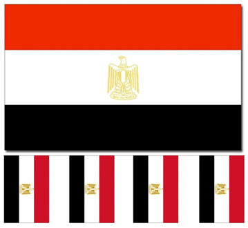 Egypte versiering/feestartikelen set - vlag 90 x 150 cm - vlaggenlijn van 300 cm - landen