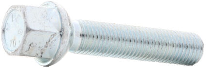 Eibach wielschroeven 10 stuks S1512505517