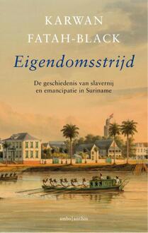 Eigendomsstrijd - Boek Karwan Fatah-Black (9026339313)