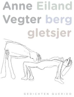 Eiland berg gletsjer - Boek Anne Vegter (902143900X)