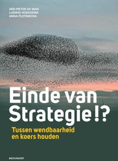 Einde van strategie !? - Ard-Pieter de Man, Ludwig Hoeksema, Anna Plotnikova - ebook