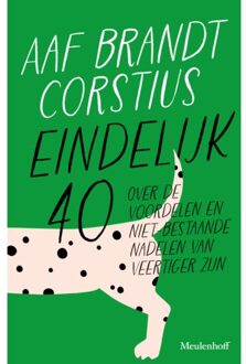Eindelijk 40 - Aaf Brandt Corstius