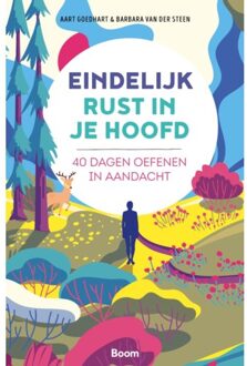 Eindelijk rust in je hoofd - (ISBN:9789024438686)