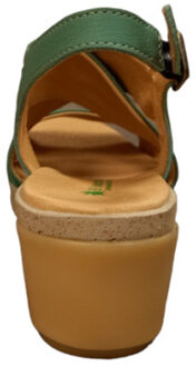 El Naturalista 5117 Groen - 40