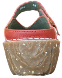 El Naturalista Ng96 Rood - 38