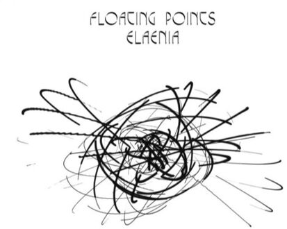 Elaenia