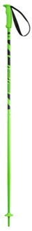 ELAN skipole hotrod green skistokken heren - Groen - 115