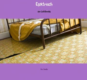 Elektrisch - Boek Paz Smidts (9462548986)
