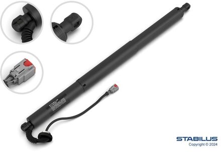 Elektromotor, achterklep 746457