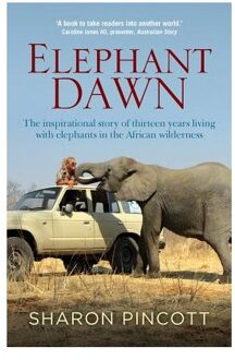 Elephant Dawn