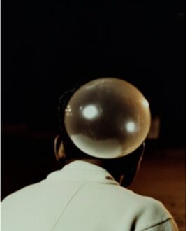 Elephant In The Room - Bharat Sikka