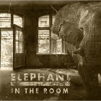 Elephant In The Room